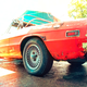 Illustration for article titled The Alfa Blues, Just the Way it is...